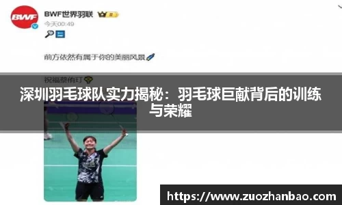 深圳羽毛球队实力揭秘：羽毛球巨献背后的训练与荣耀