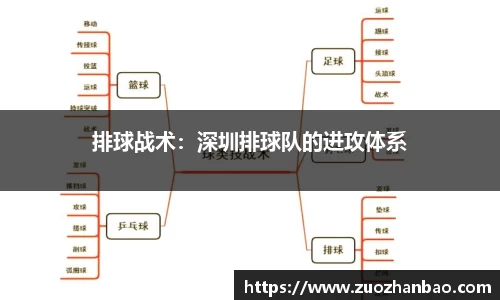 排球战术：深圳排球队的进攻体系